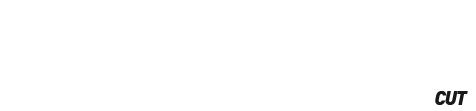 SINTRAF JF